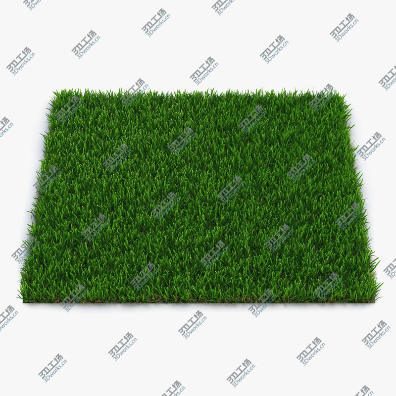 images/goods_img/2021040165/Zoysia Grass/1.jpg